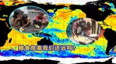 全球粮食市场：厄尔尼诺与出口规管的双重危机的影响是什么？我们该如何面对？