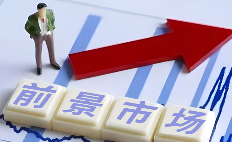 正规配资公司的前景市场有多大？