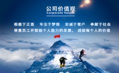股票公司的价值观是如何体现出来的？对投资者有什么好处？