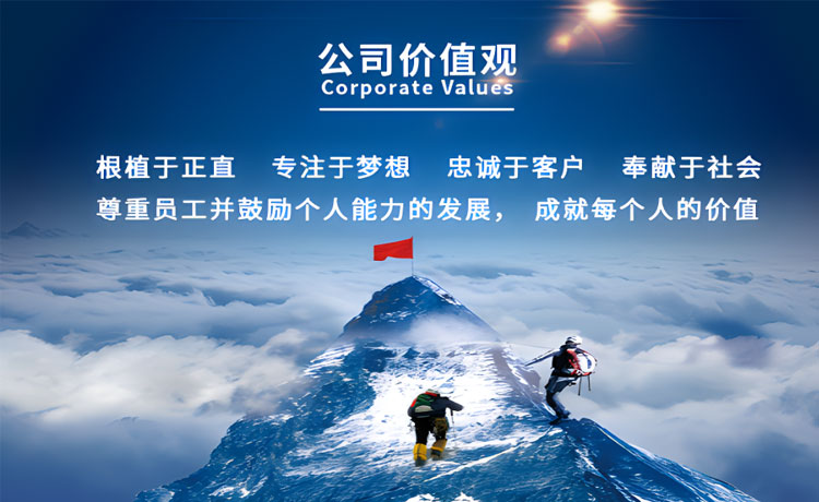 股票公司的价值观是如何体现出来的？