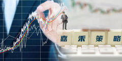 嘉禾策略的优势及其吸引众多参与者的原因是什么？