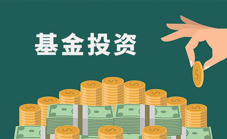 新手对于基金投资的十大需求