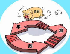 猪价涨势放缓，市场供需面尚未改变，仍有下跌风险！