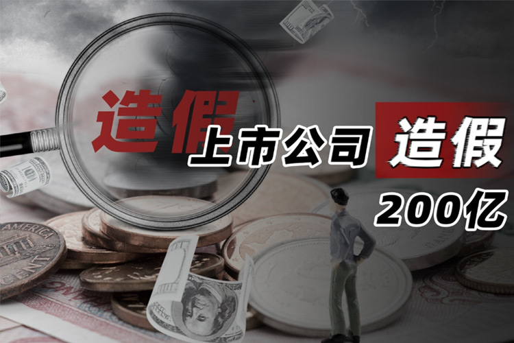 上市公司造假八大乱象是什么？